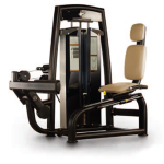 Pulse 530G Seated Calf