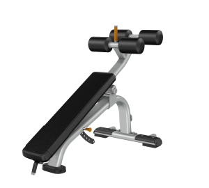 Precor DBR0113 Adjustable Decline Bench