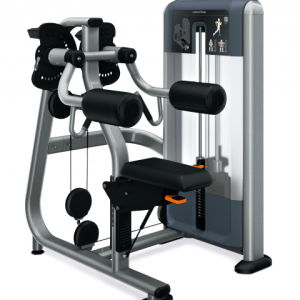 Precor DSL0504 Lateral Raise