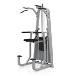 Precor 320 Dip/Chin Assist