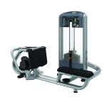 Precor DSL0324 Diverging Low Row